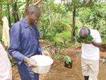 Borehole fruits being reaped instantly